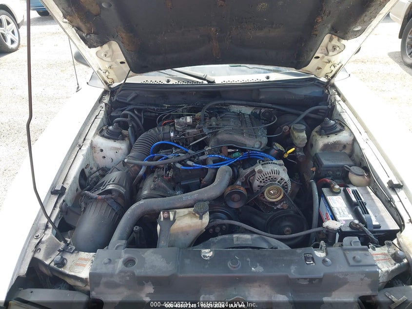 1997 Ford Mustang VIN: 1FALP4449VF180036 Lot: 43507248