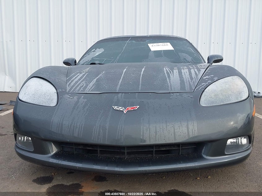 2009 Chevrolet Corvette VIN: 1G1YY26W095103110 Lot: 43507668