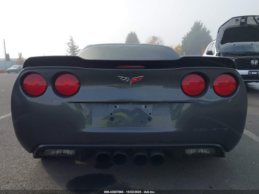 2009 Chevrolet Corvette VIN: 1G1YY26W095103110 Lot: 43507668