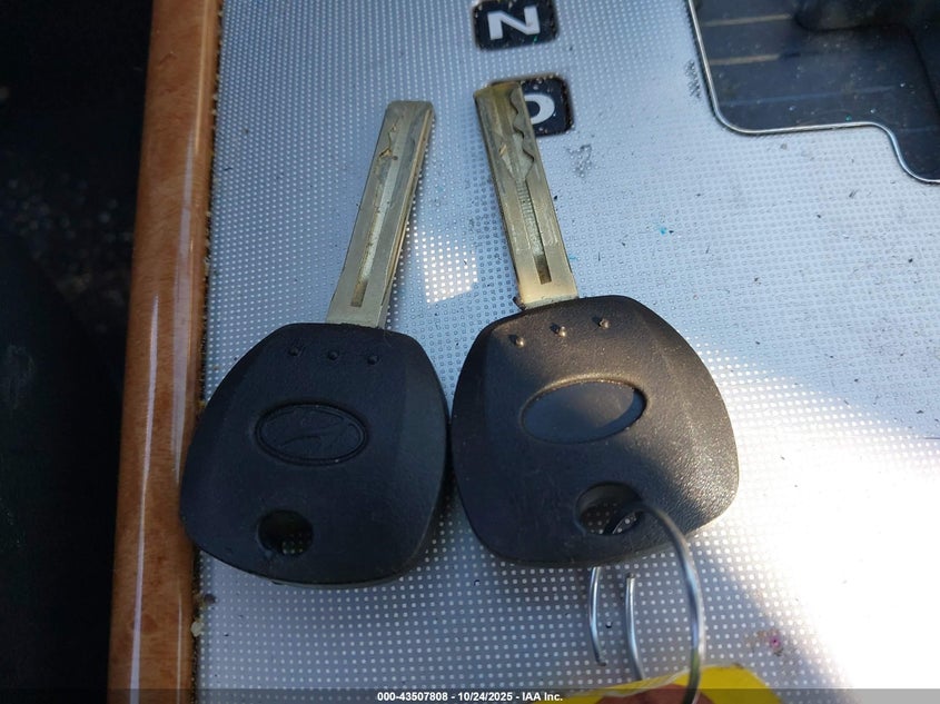 2006 Hyundai Azera Limited/Se VIN: KMHFC46F66A109470 Lot: 43507808