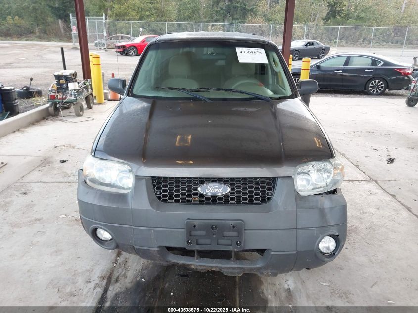2007 Ford Escape Xlt/Xlt Sport VIN: 1FMYU03187KB51528 Lot: 43508675