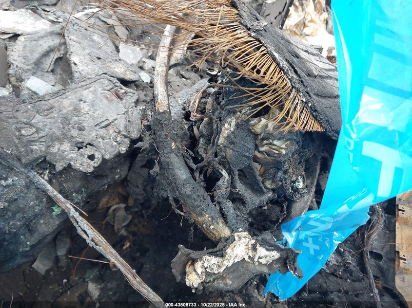 2017 KIA SPORTAGE EX KNDPNCAC9H7261656