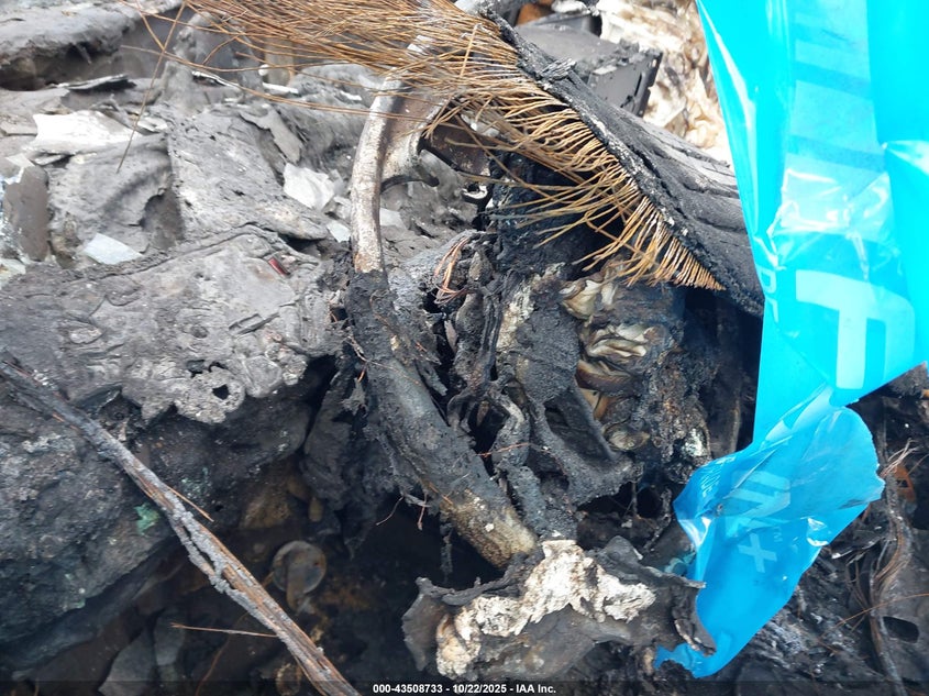 2017 KIA SPORTAGE EX KNDPNCAC9H7261656