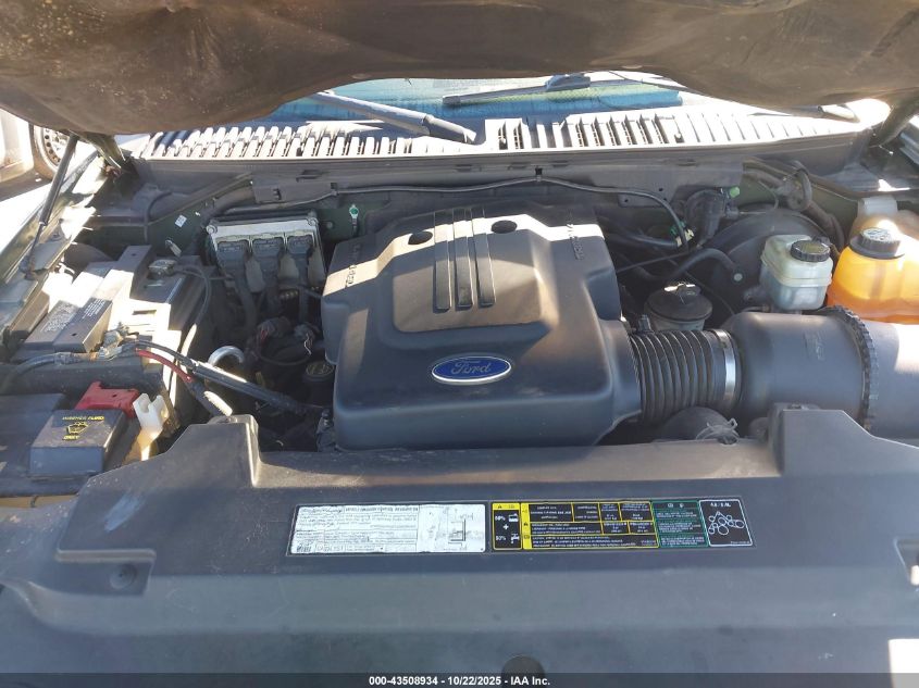 2003 Ford Expedition Eddie Bauer VIN: 1FMEU17W73LC25752 Lot: 43508934