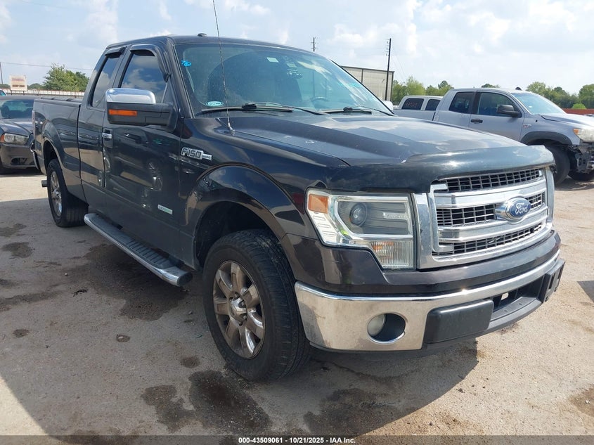 FORD F-150 XLT