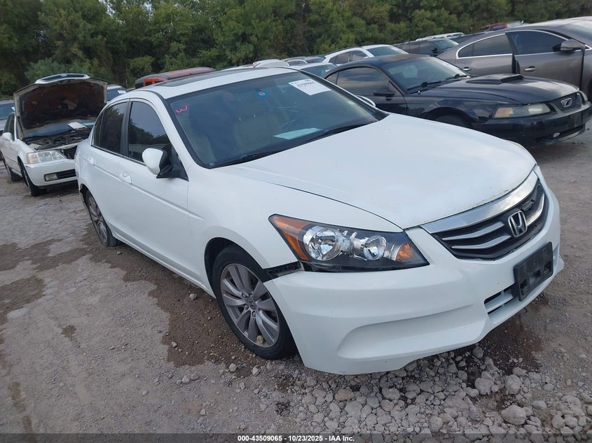 HONDA ACCORD 2.4 EX-L