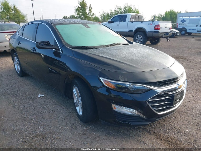 CHEVROLET MALIBU 1FL
