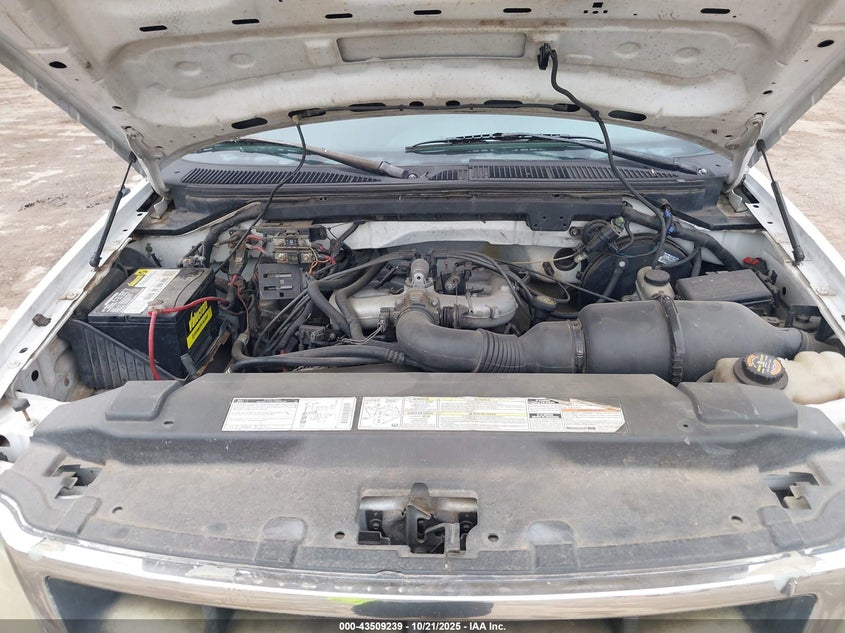 1997 Ford F-150 Standard/Xl/Xlt VIN: 1FTDX172XVNA93002 Lot: 43509239