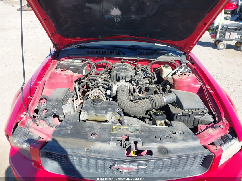 1ZVFT80N155258286 2005 FORD MUSTANG photo no. 10