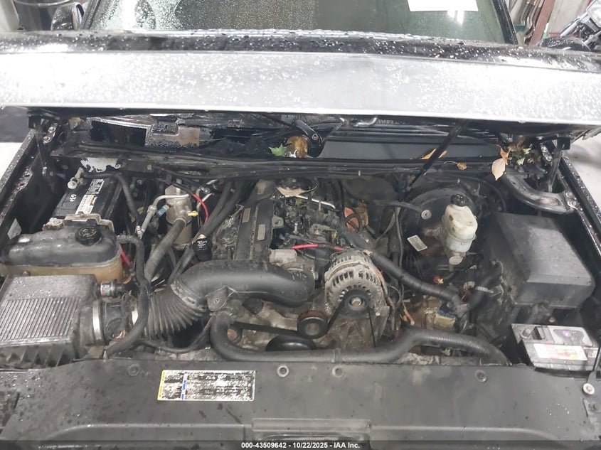 2007 Cadillac Escalade Standard VIN: 1GYFK63877R202231 Lot: 43509642