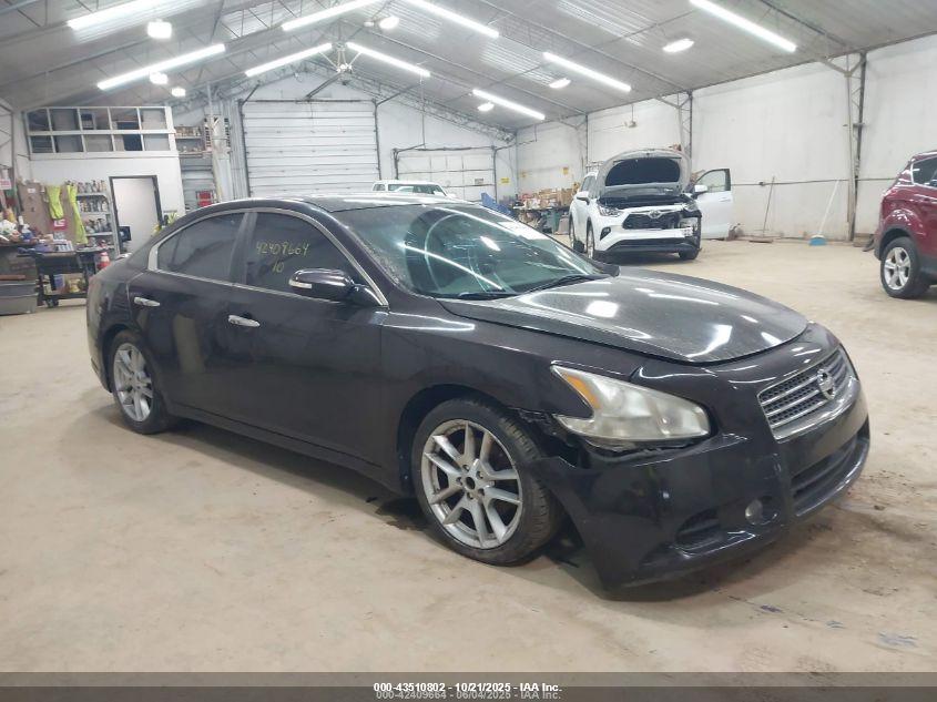 NISSAN MAXIMA 3.5 SV