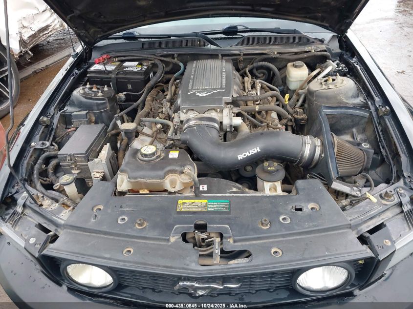 2008 Ford Mustang Gt Deluxe/Gt Premium VIN: 1ZVHT82H285110474 Lot: 43510845