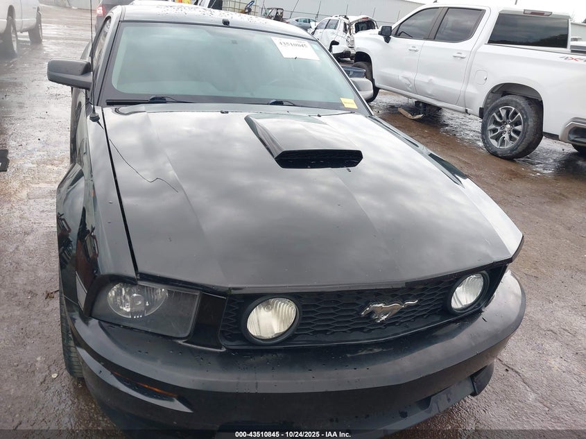 2008 Ford Mustang Gt Deluxe/Gt Premium VIN: 1ZVHT82H285110474 Lot: 43510845