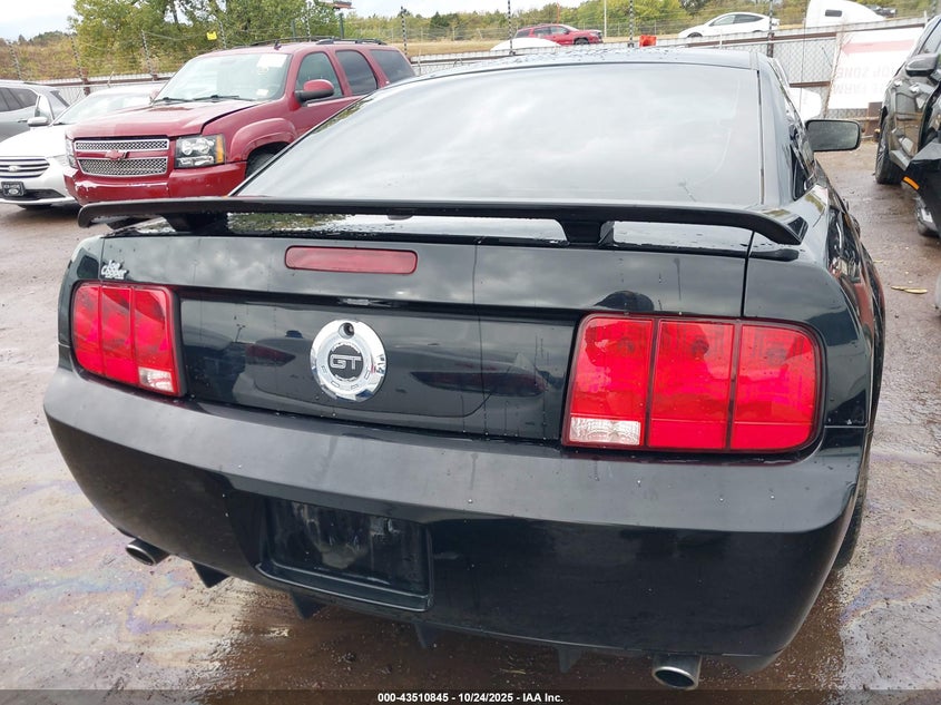 2008 Ford Mustang Gt Deluxe/Gt Premium VIN: 1ZVHT82H285110474 Lot: 43510845