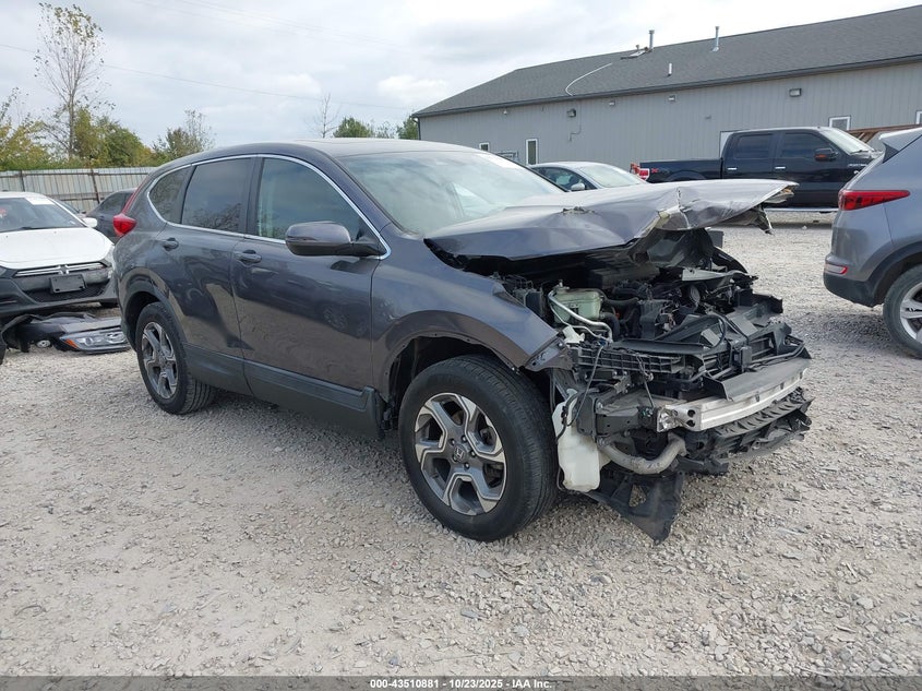 2019 HONDA CR-V EX - 2HKRW2H53KH660587