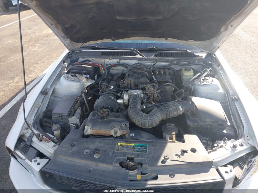 1ZVHT80N355101688 2005 FORD MUSTANG photo no. 10