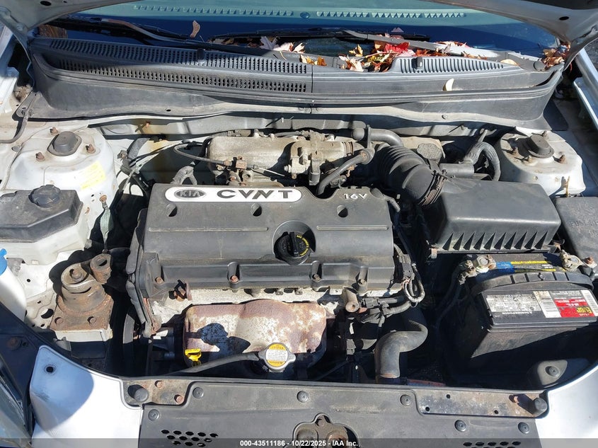 2009 Kia Rio VIN: KNADE223396561175 Lot: 43511186