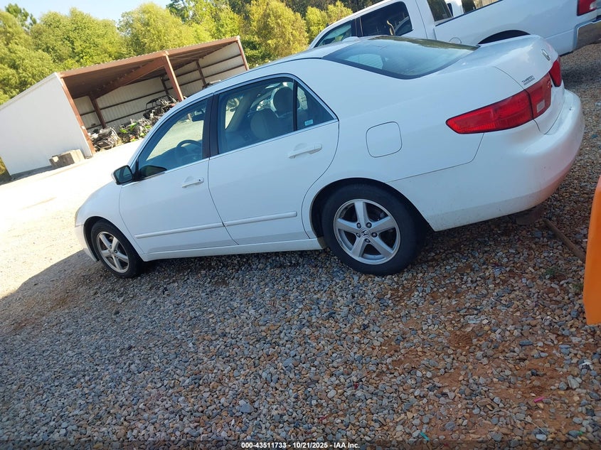 1HGCM56825A159391 2005 HONDA ACCORD photo no. 3