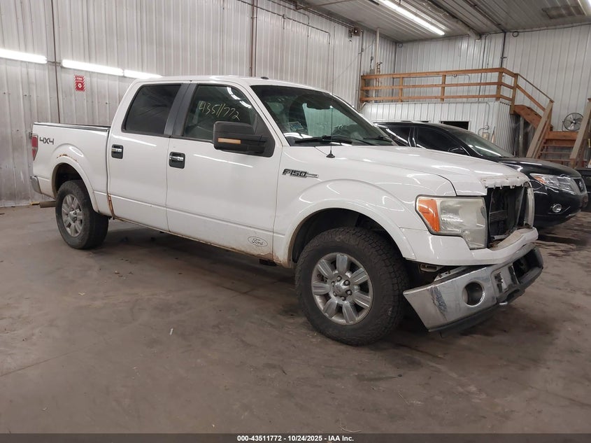 FORD F-150 FX4/HARLEY-DAVIDSON/KING RANCH/LARIAT/PLATINUM/XL/XLT