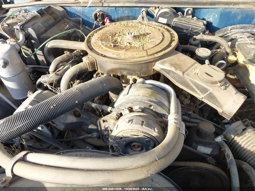 1985 Chevrolet Blazer S10 VIN: 1G8CT18B8F0161845 Lot: 43511826