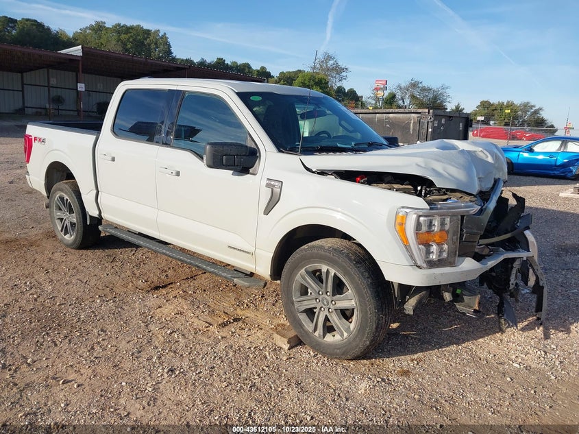 2023 FORD F-150 XLT - 1FTFW1ED3PFC68820