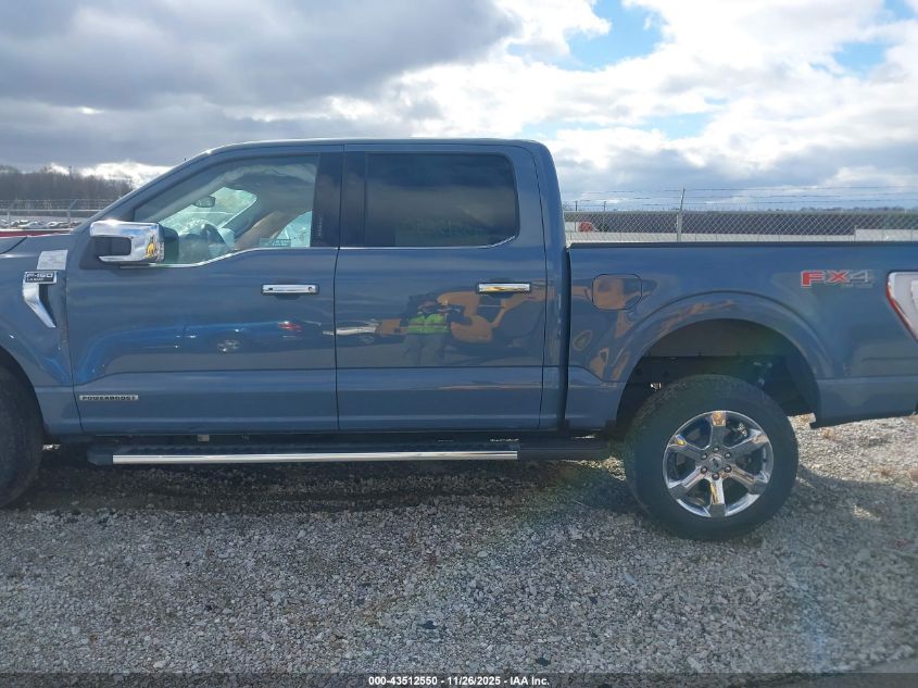 2023 Ford F-150 Lariat VIN: 1FTFW1ED6PFA66795 Lot: 43512550