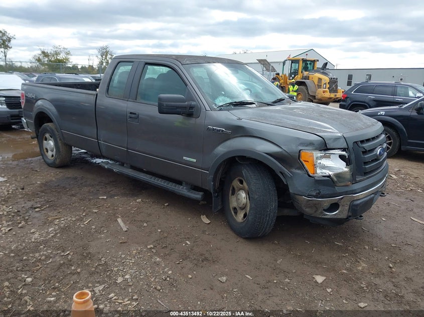 FORD F-150 XL