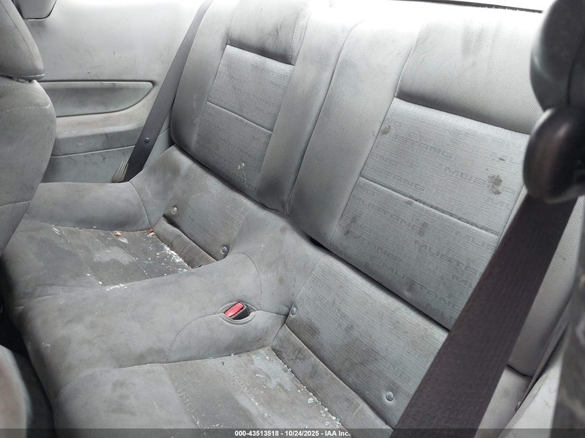 2006 Ford Mustang V6 VIN: 1ZVFT80N765191971 Lot: 43513518