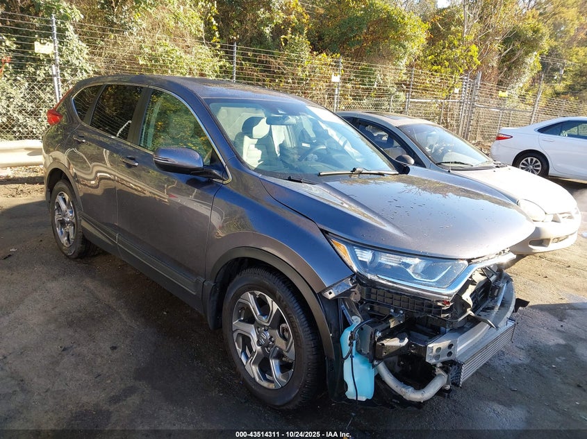 2019 HONDA CR-V EX - 2HKRW1H56KH511259