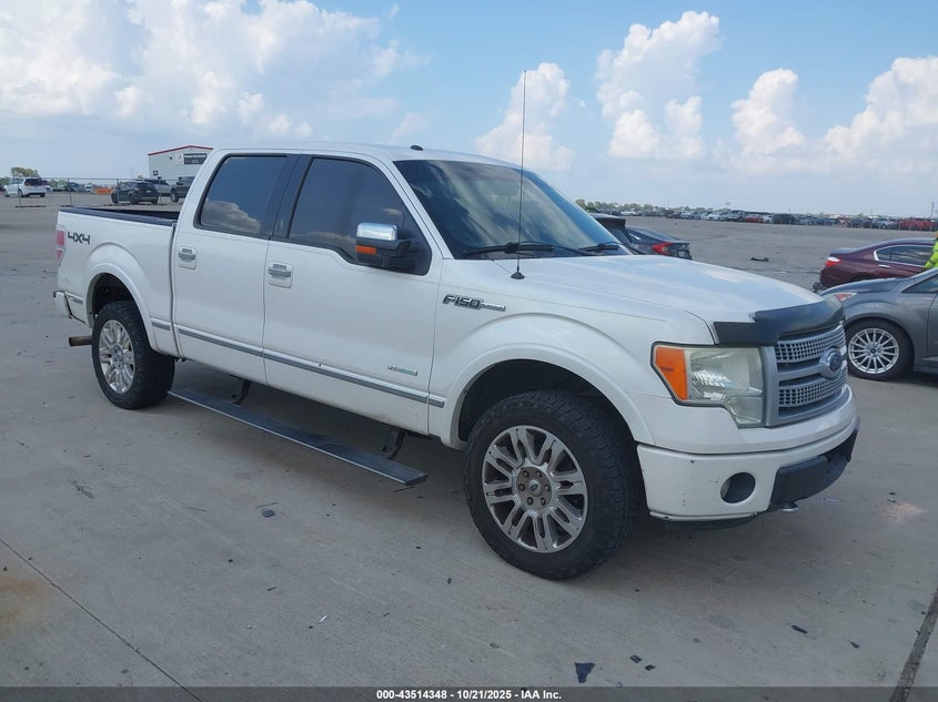 FORD F-150 PLATINUM