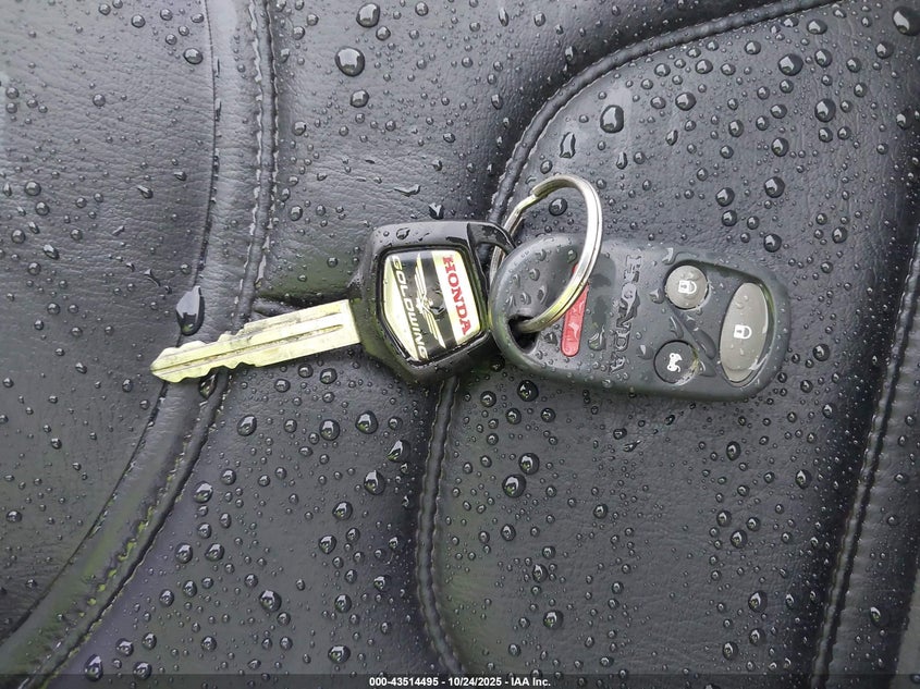 2006 HONDA GL1800 1HFSC47F56A508703