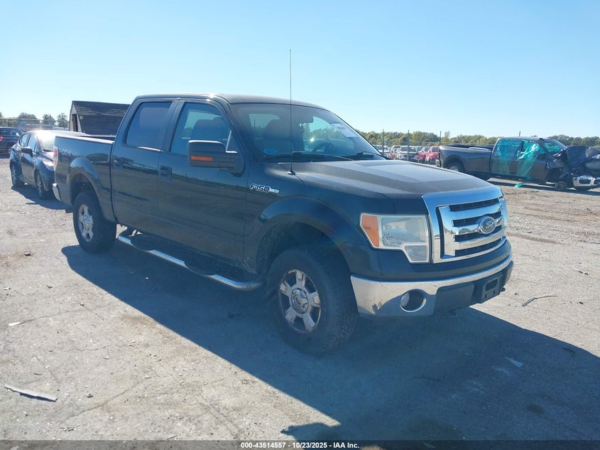 FORD F-150 FX4/HARLEY-DAVIDSON/KING RANCH/LARIAT/PLATINUM/XL/XLT