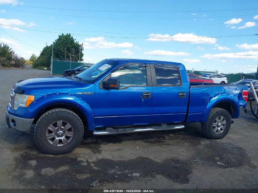 2009 Ford F-150 Fx4/King Ranch/Lariat/Platinum/Xl/Xlt VIN: 1FTPW14V19FA16758 Lot: 43515248