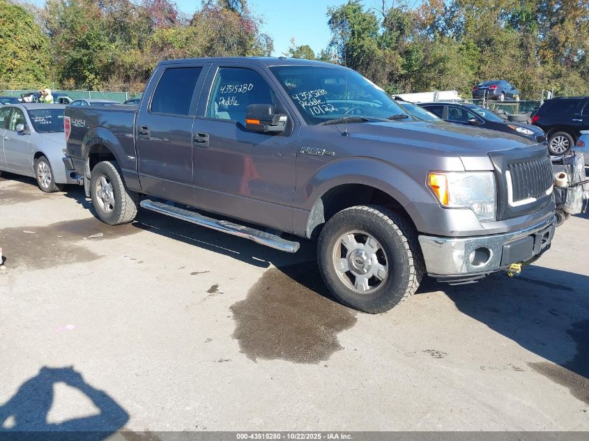 FORD F-150 XLT