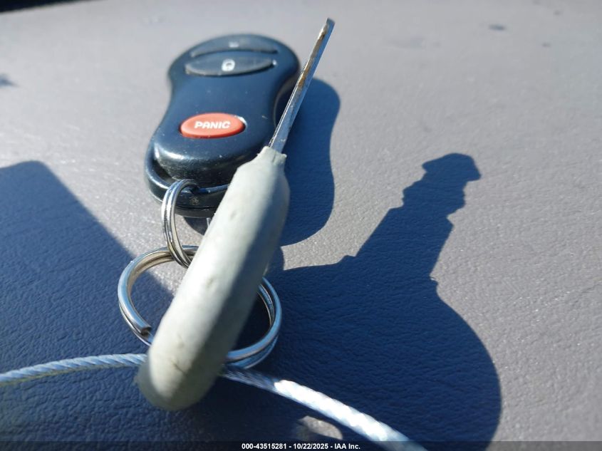 2004 Chrysler Pt Cruiser Touring VIN: 3C4FY58B84T208724 Lot: 43515281