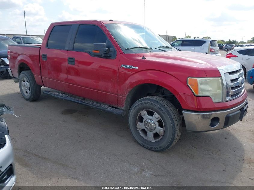 FORD F-150 FX2 SPORT/XL/XLT