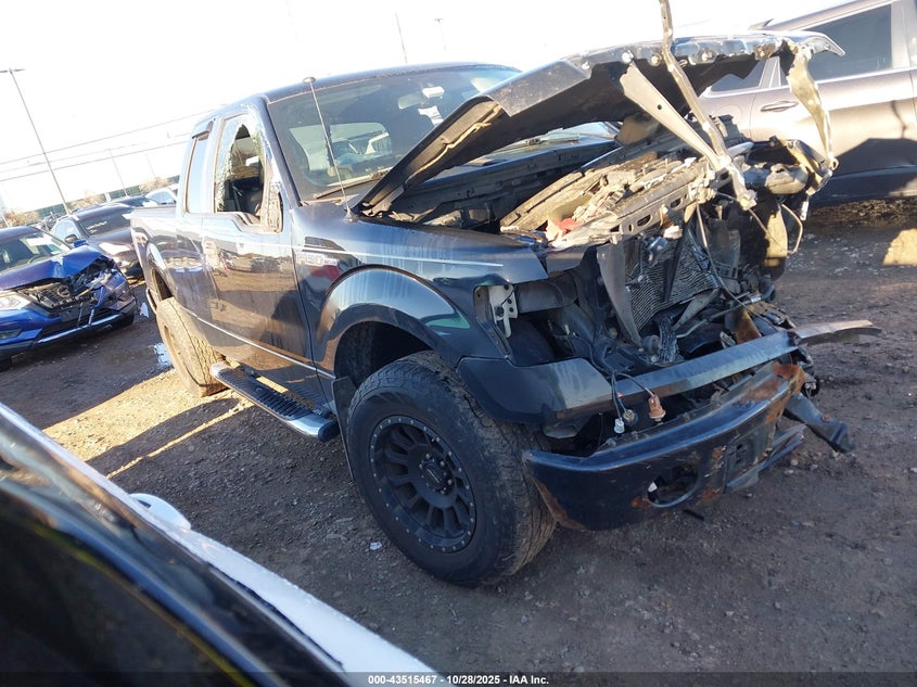 FORD F-150 STX/XL/XLT