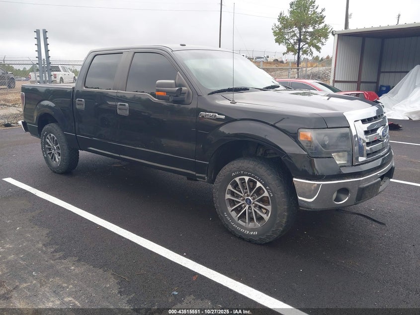 FORD F-150 XLT
