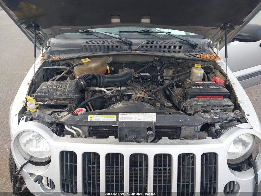 1J8GL48K27W660513 2007 JEEP LIBERTY (NORTH AMERICA) photo no. 10