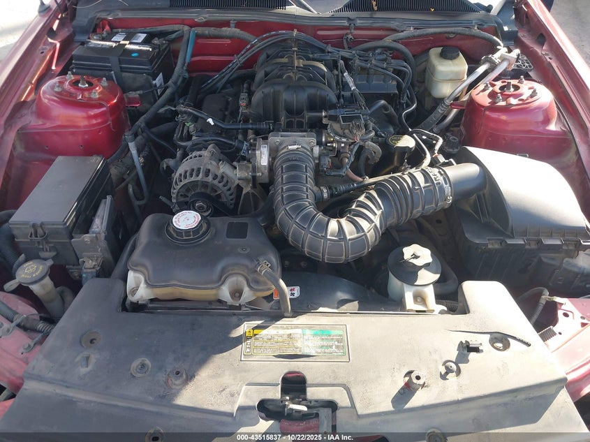 2007 Ford Mustang V6 Deluxe/V6 Premium VIN: 1ZVFT80N975273377 Lot: 43515837