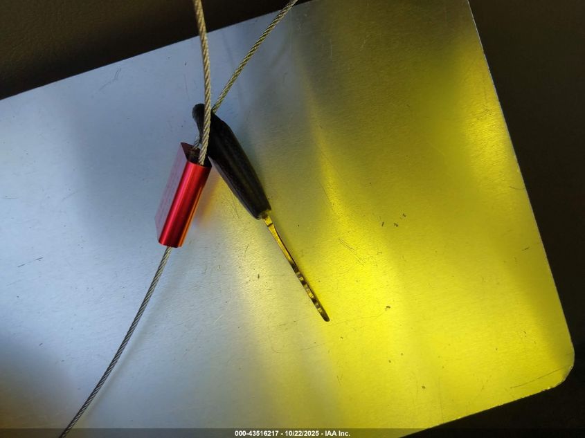 2004 Kia Sedona Ex/Lx VIN: KNDUP131746515748 Lot: 43516217