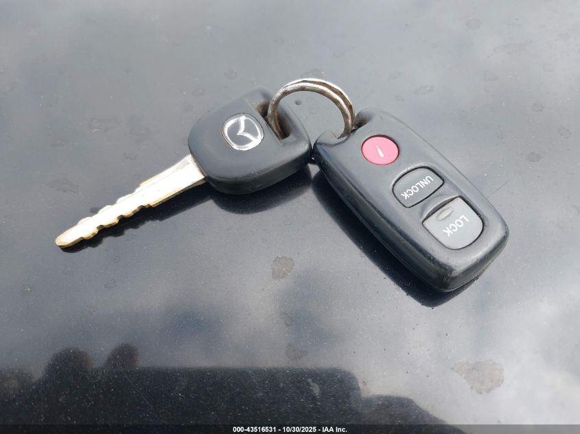 2004 Mazda Mazda3 S VIN: JM1BK143X41185381 Lot: 43516531