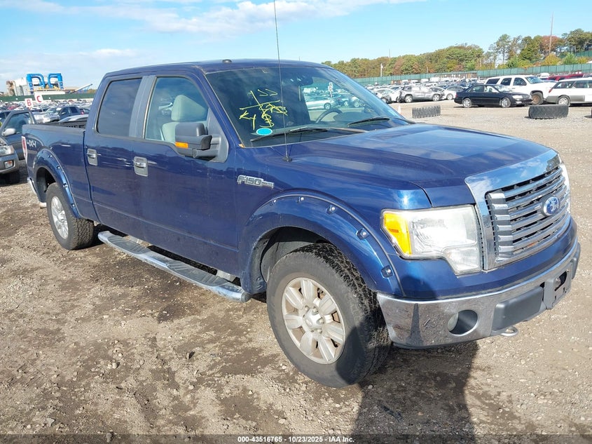 FORD F-150 XL/XLT