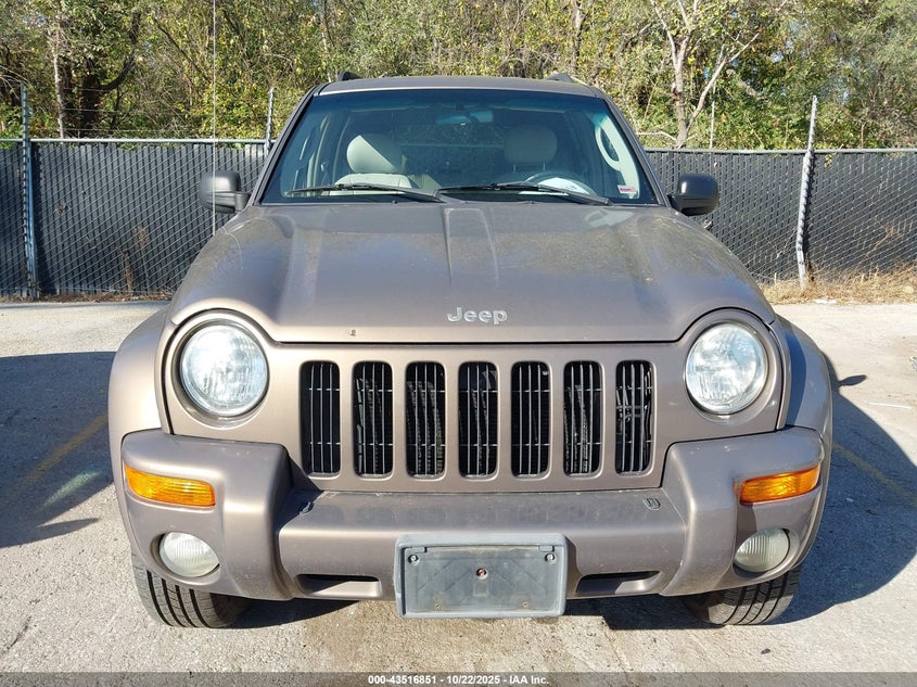 1J8GL58K62W145089 2002 JEEP LIBERTY (NORTH AMERICA) photo no. 6