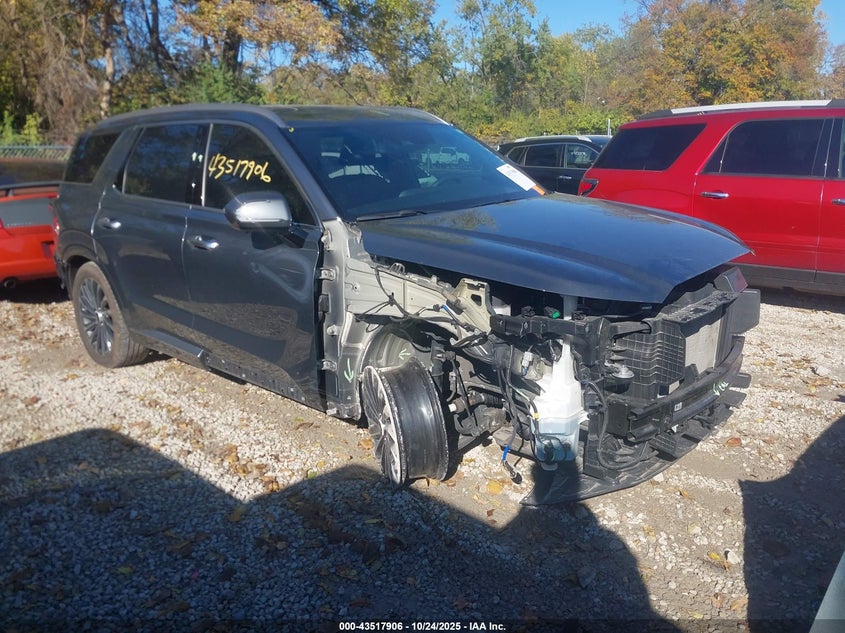 HYUNDAI PALISADE CALLIGRAPHY