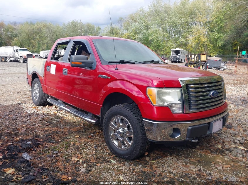 FORD F-150 XLT