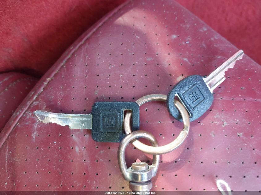 1985 Chevrolet Corvette VIN: 1G1YY0783F5109919 Lot: 43518176