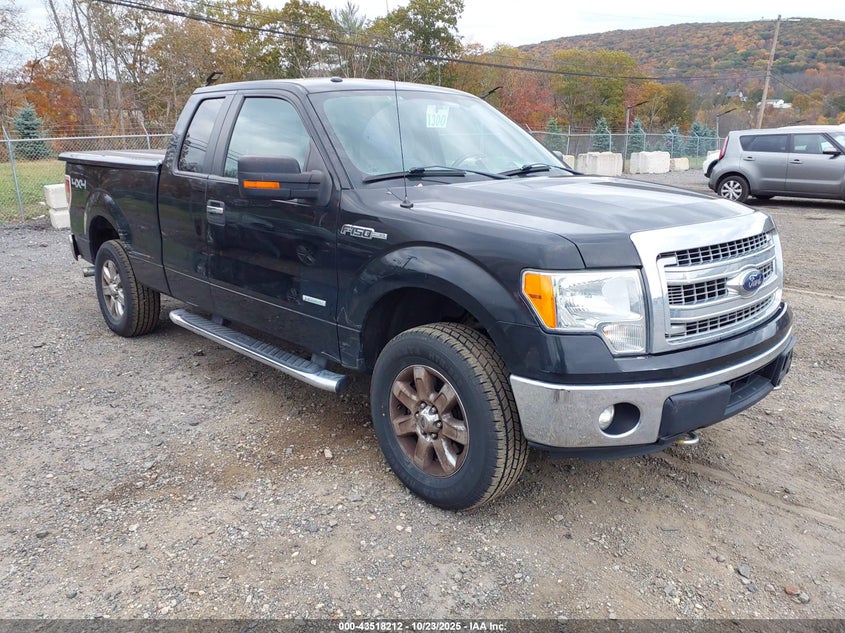 2014 FORD F-150 XLT - 1FTFX1ET7EFA54009