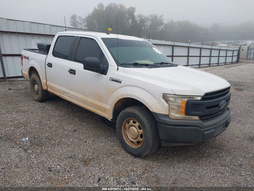 2019 FORD F-150 XL - 1FTEW1E55KKE33481
