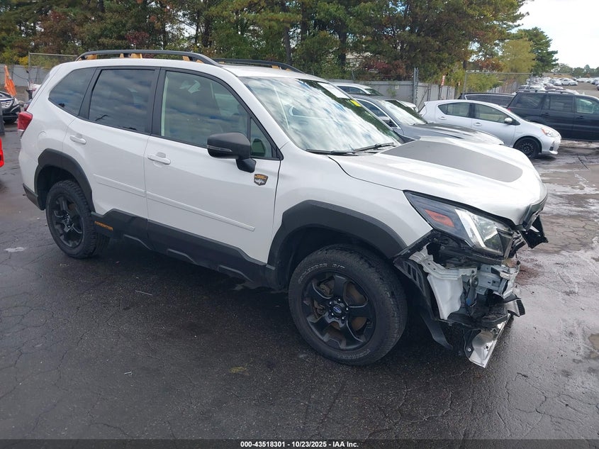 SUBARU FORESTER WILDERNESS